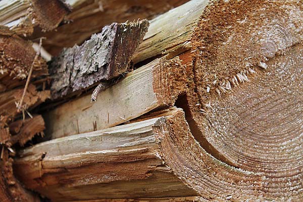 Chile, Argentina y Brasil ya se consumieron sus recursos naturales para 2021