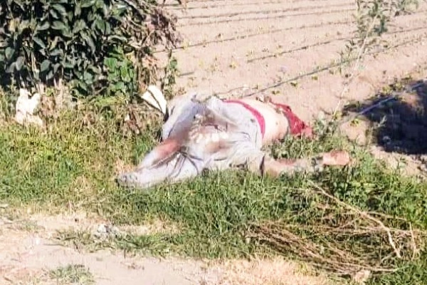 Abandonan en la autopista cuerpo torturado y con el tiro de gracia
