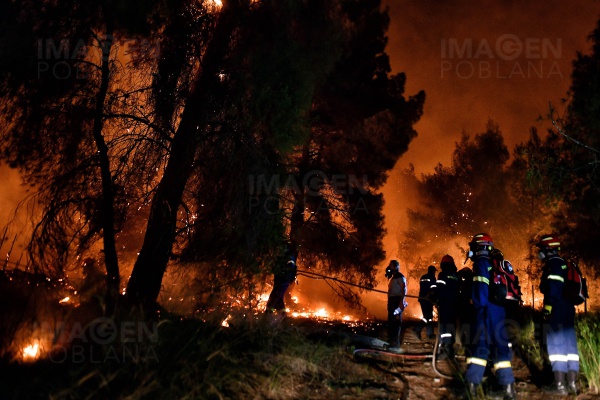 Detienen al autor de los devastadores incendios en Turquía