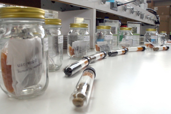 Herbario y Jardín Botánico BUAP, detonadores de la ciencia