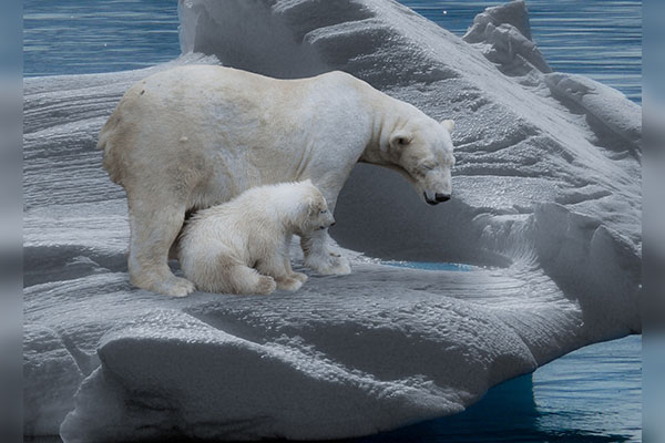 El Ártico podría quedarse sin hielo en septiembre al menos una vez antes de 2050