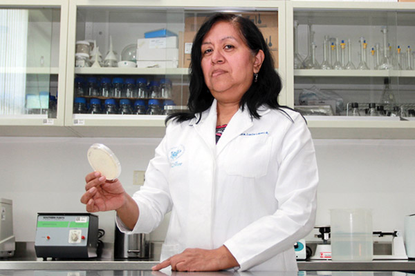 Investigadores BUAP desarrollan método biológico para controlar hongos en pinos