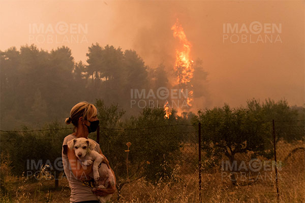 Fallecen 65 personas en los incendios forestales de Argelia