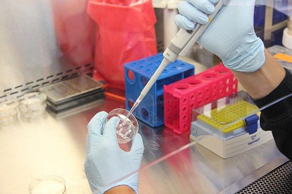 Sulconazol, una pomada podría evitar el contagio por COVID