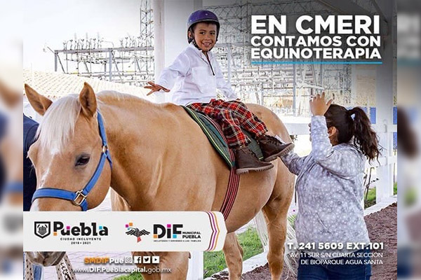 Centro Municipal de Equinoterapia y Rehabilitación invita a conocer sus servicios