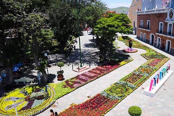 Coloca Atlixco tradicional Tapete Monumental de Flores