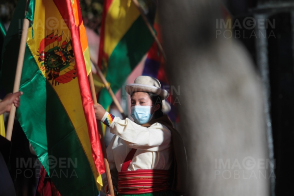 Bolivia llama a investigar participación de secretario de OEA en golpe de Estado