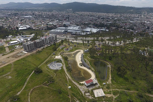 Árboles exóticos “enfermaron” el cerro de Amalucan, acusa alcaldesa