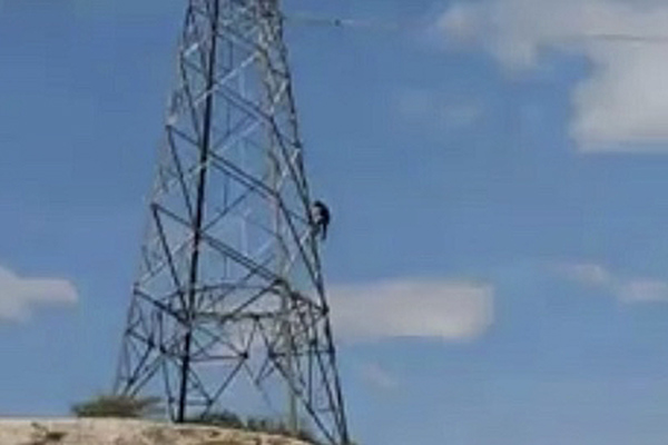 Trastornado por la droga, se subió a torre de alta tensión