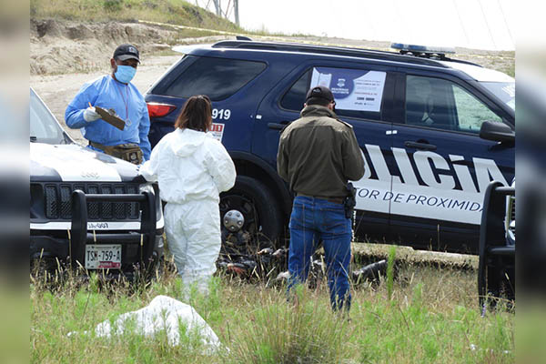 Encuentran cuerpos calcinados en un pastizal