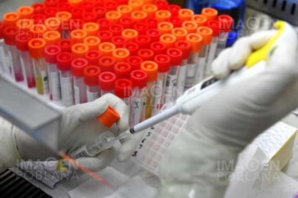 EU debería investigar origen de coronavirus en Fort Detrick y Universidad de Carolina del Norte