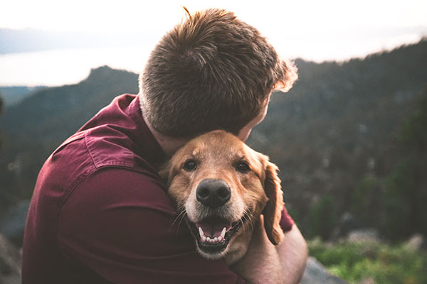 Cómo ayudan las mascotas a la salud mental y a reducir el estrés
