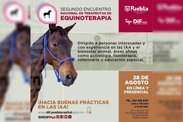 SMDIF lleva a cabo el Segundo Encuentro Nacional de Terapeutas de Equinoterapia