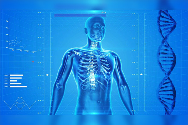 Una arteria extra evidencia que el ser humano sigue evolucionando
