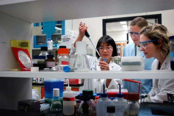 La brecha de género de las mujeres latinoamericanas en Ciencia y Tecnología