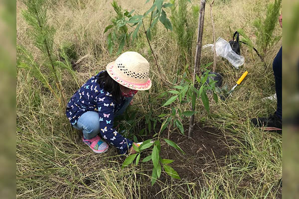 Ayuntamiento y Fundación Conserva México siembran 200 árboles en Amalucan