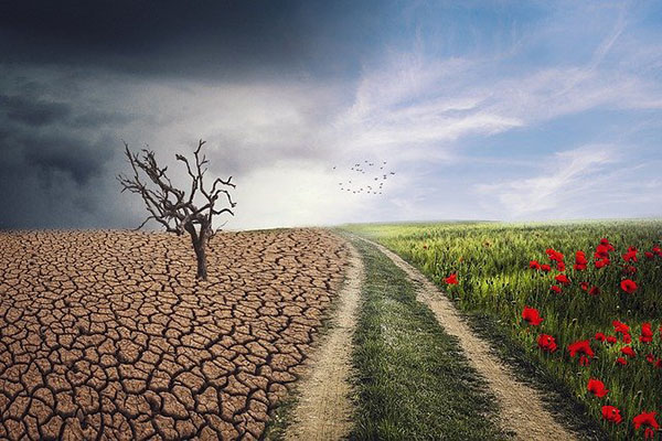 Cambio climático dejó sin hogar a más de 30 millones de personas en 2020