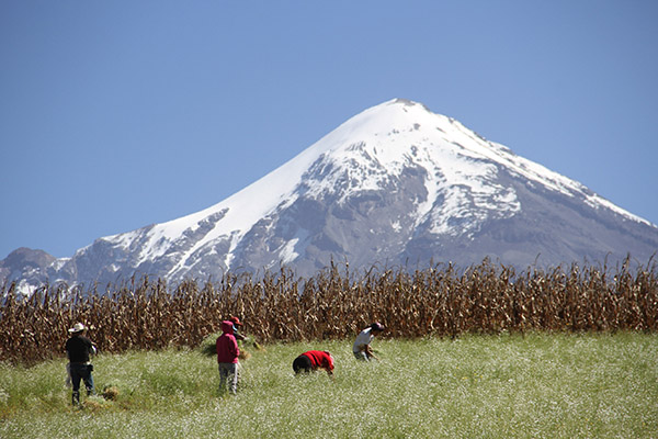 ¿Puebla o Veracruz? La disputa en redes por el Pico de Orizaba