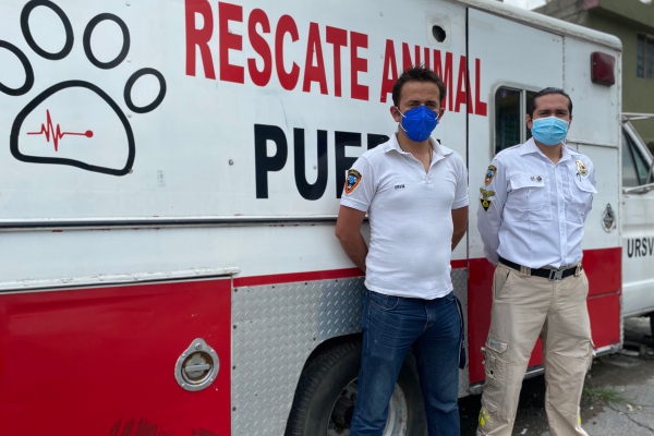 URSVA Puebla, guardianes y apoyo para animales en riesgo
