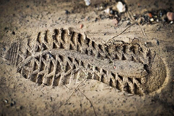 Google anuncia funciones para ayudar a los usuarios a disminuir su huella de carbono