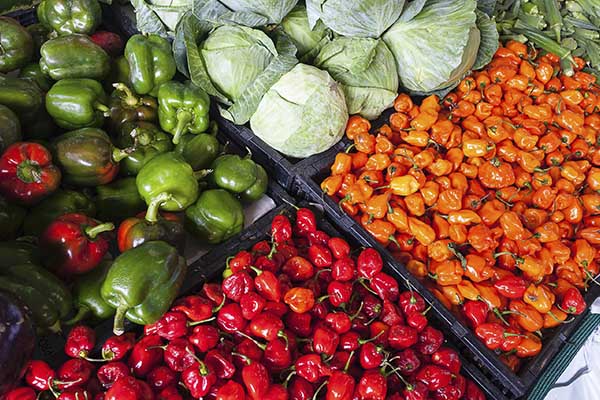 Por segundo mes consecutivo, precios de alimentos alcanzan máximo histórico en 10 años: FAO
