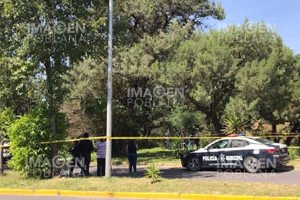 Hallan cadáver de indigente al fondo de una barranca