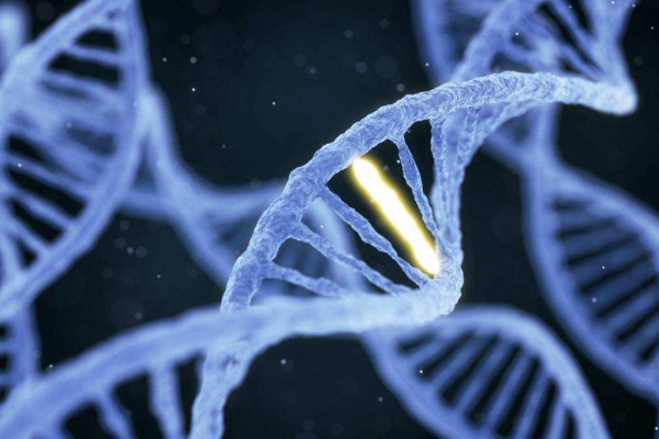 Los casos en que el cáncer puede ser hereditario