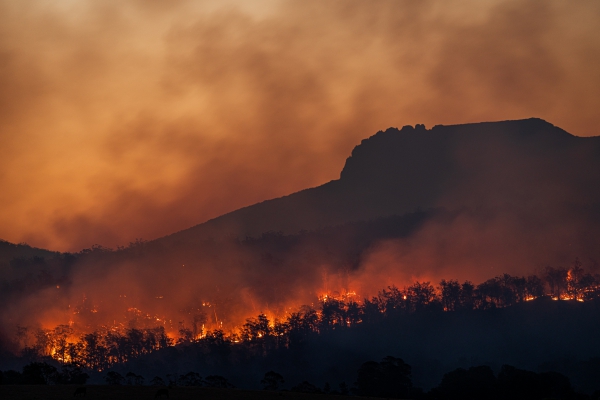 Crisis climática, nuestra herencia a nuevas generaciones