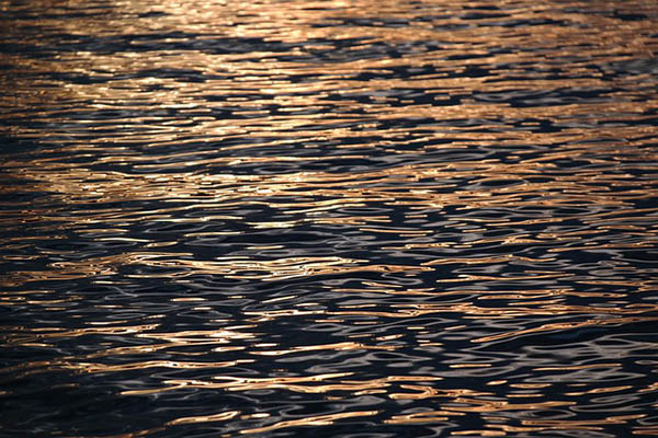 Derrame de petróleo en el mar Negro en agosto provocó daños por 63 mdd
