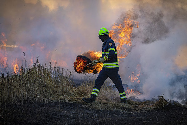 Incendios forestales desplazaron de California a 600,000 “migrantes climáticos” en 2020
