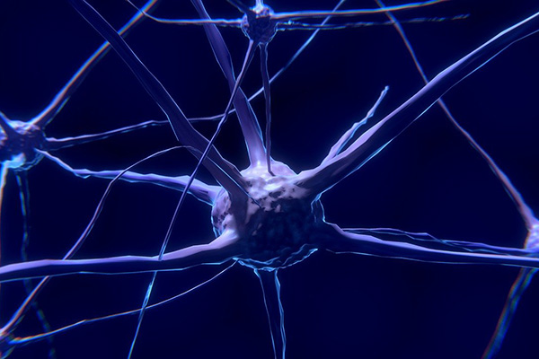 Científicos desarrollan diminutas vesículas para llevar medicamentos al cerebro