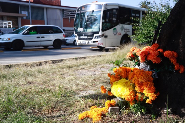 Almas que partieron en accidentes, las más importantes en Día de Muertos