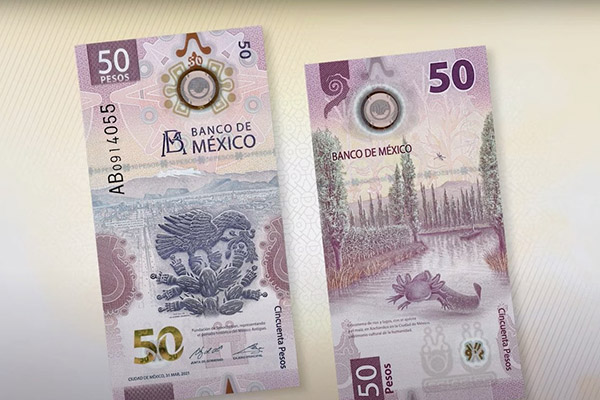 Nuevo billete de 50 pesos su comienza circulación en el país