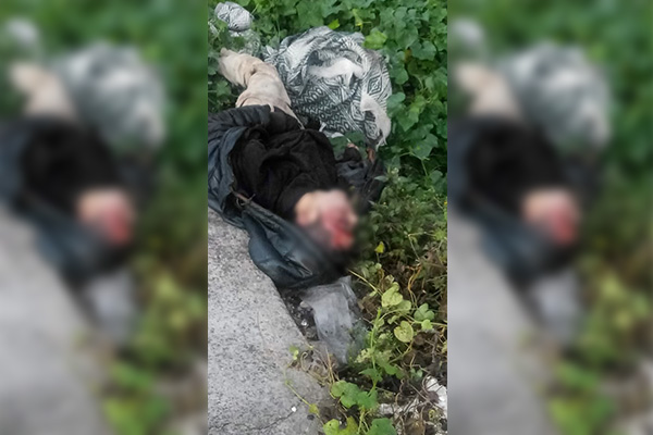 Hallan a un joven ultimado a golpes