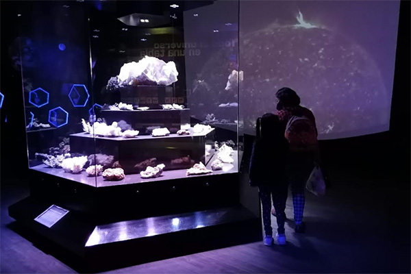 16,000 visitantes llegaron a la Noche de Museos