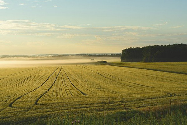 ¿Cuál será el impacto del calentamiento global en la agricultura? Esto dice la NASA