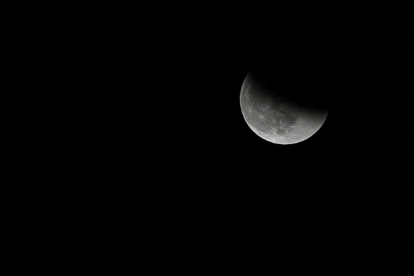 Prepárate para ver el “eclipse lunar del castor” el 19 de noviembre