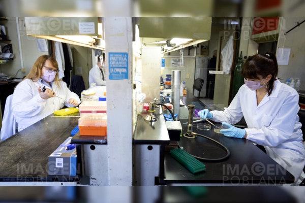 Día Mundial de la Ciencia: contrastes que ha dejado la pandemia