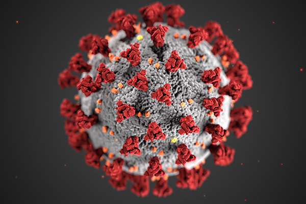 Nueva subvariante delta del coronavirus se registra en Noruega