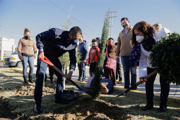 Más de 800 árboles han sido plantados en jornadas de reforestación de San Andrés