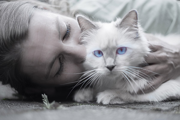 Irán pretende prohibir las mascotas porque “sustituyen el amor entre personas”