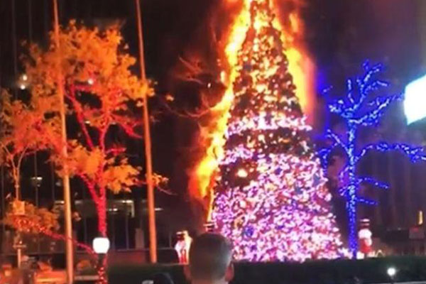 Arrestan a vagabundo por incendiar un árbol de Navidad de 15 metros en Nueva York