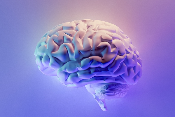 Las 7 ideas de desayunos para despertar al cerebro cada día