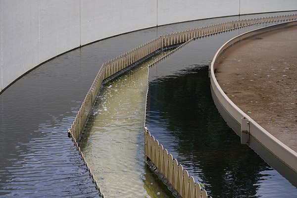 Ómicron, detectada en aguas residuales de California antes de que OMS diera voz de alarma