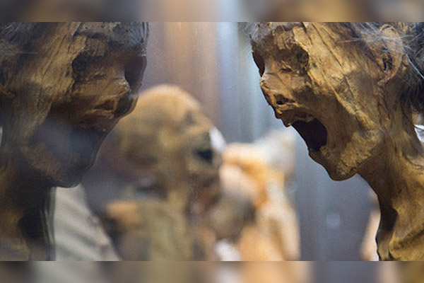Momias de Guanajuato serían enviadas a un centro comercial; AMLO pide revisar el caso