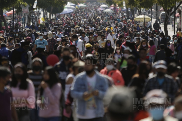 Casi 3.5 millones de personas visitaron la Basílica de Guadalupe