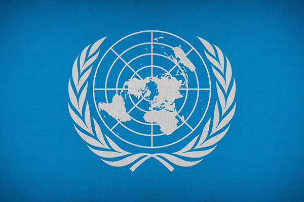 Comité de ONU contra tortura pide a México que no "criminalice defensa de DDHH"