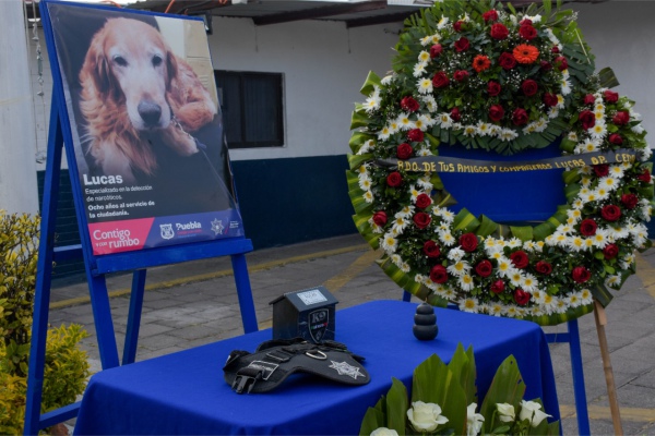 Con ceremonia, dan el último adiós a Lucas, destacado perro policía