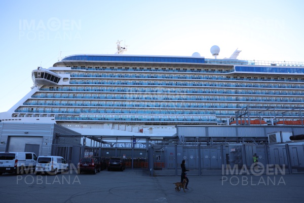 Viajes de crucero en Brasil se suspenden tras brotes de COVID-19 a bordo