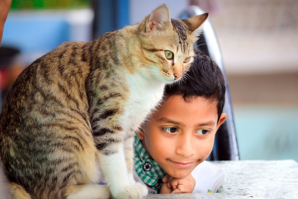 Grandes beneficios de la vida con mascotas
